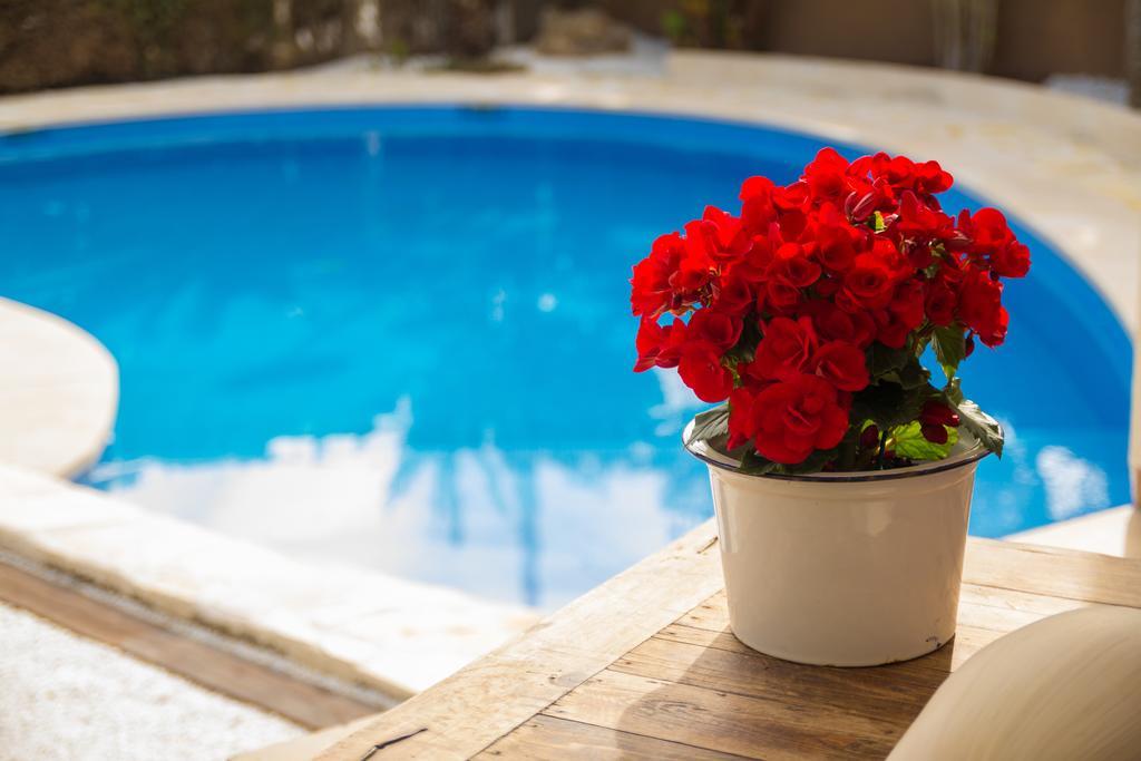 Azul Rentals Villa Albir 阿尔比尔 外观 照片